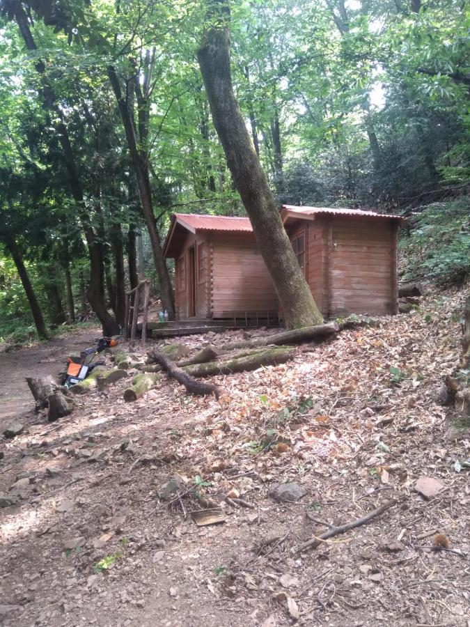 Casa Dora Lägenhet Brusino Arsizio Exteriör bild